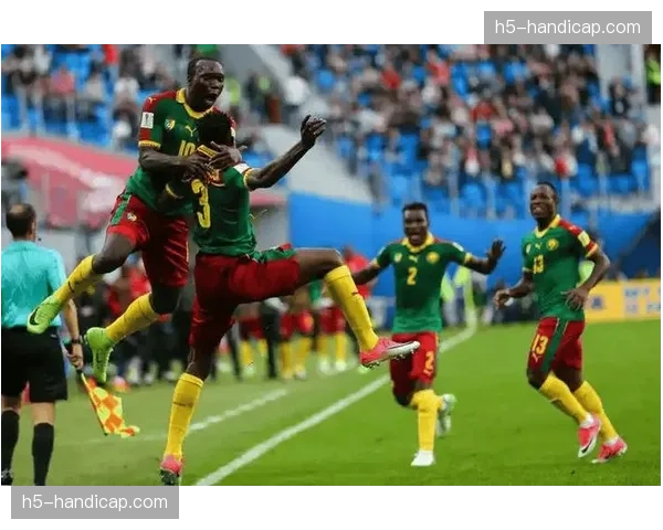 非洲杯赛场花絮：突尼斯球迷组织的全场助威表演成为亮点